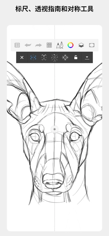 sketchbook免费中文版(1)