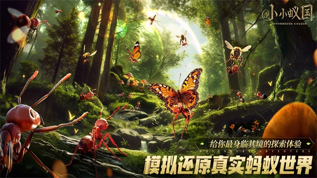 蚂蚁地下王国国际服3