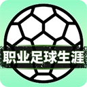 职业足球生涯游戏