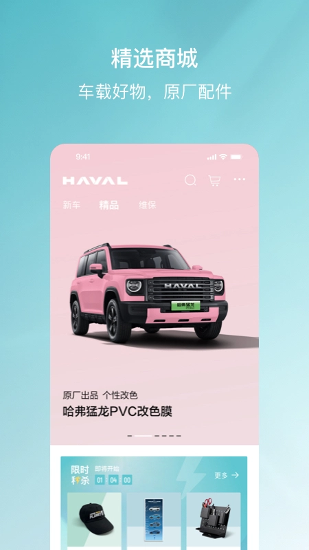 哈弗智家-图3