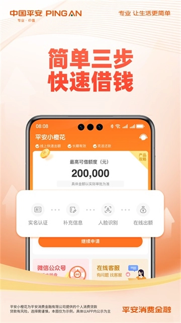 平安消费金融(3)