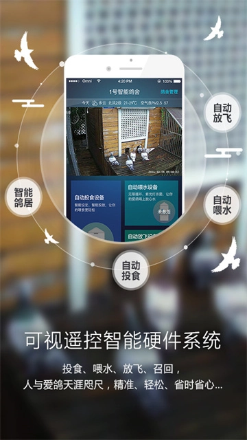 爱鸽者2
