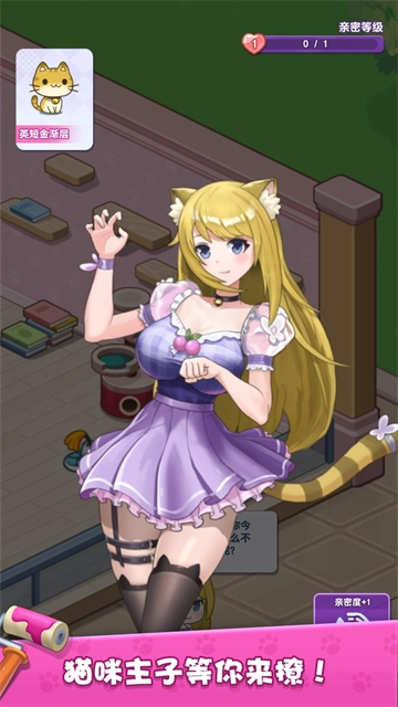 我的猫咪小家官方正版图3