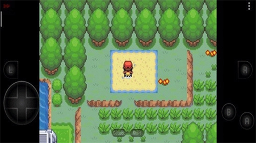 口袋妖怪彼岸花绽放之夜(2)