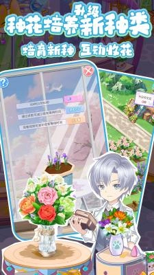 浪漫花田园正版(4)