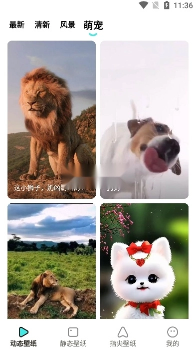 考拉壁纸软件图4