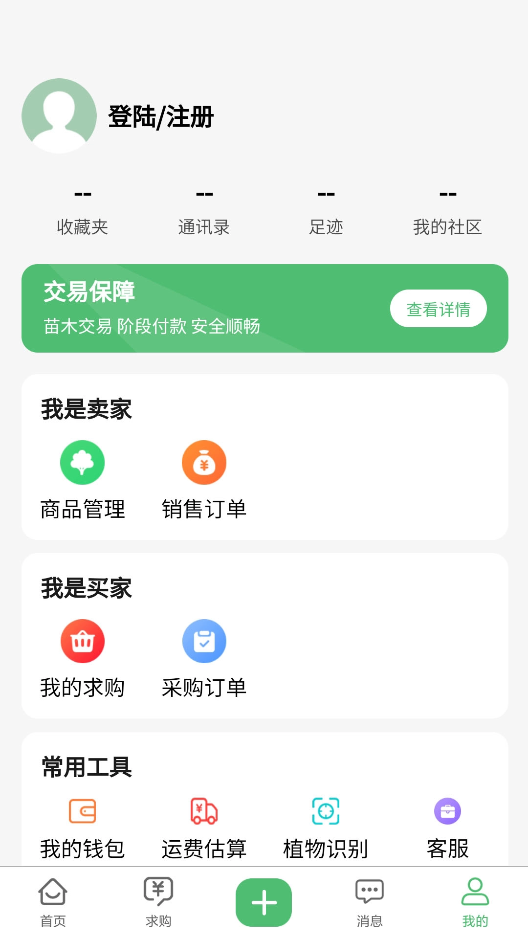 苗青青-图1