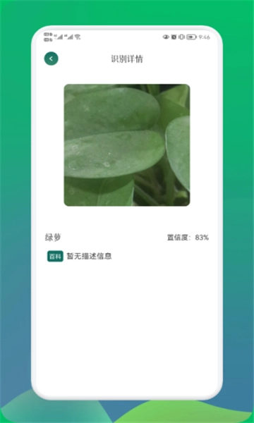小园丁图2