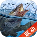 天天钓鱼正版