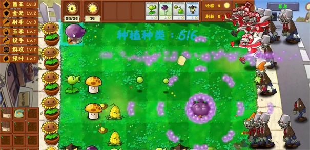 植物大战僵尸金铲铲版图2