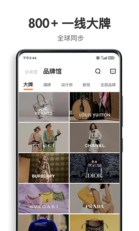 迷橙-图2