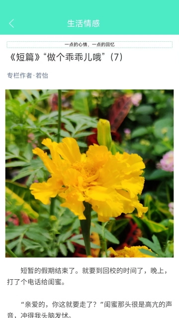 天天日历官方正版图3