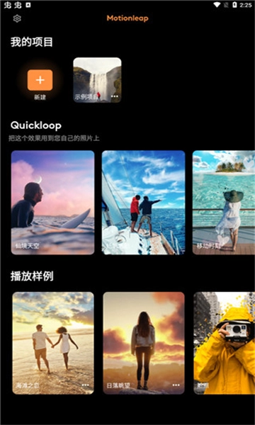 motionleap(4)