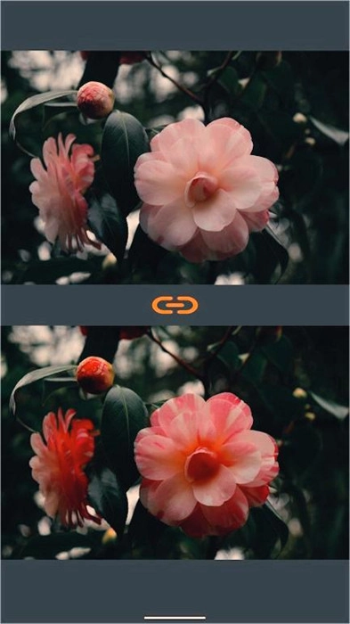 VES图像和照片进行比较