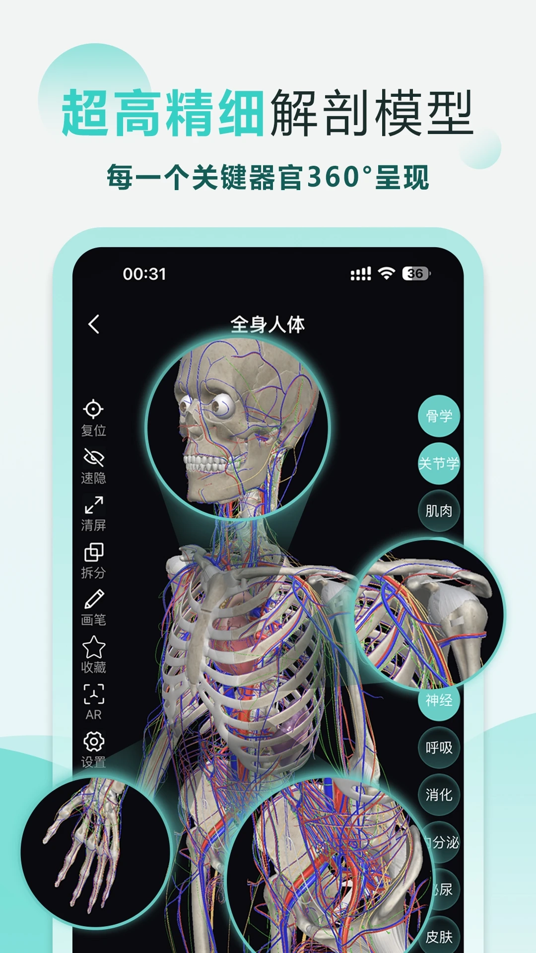 掌上3d解剖软件安卓版图3