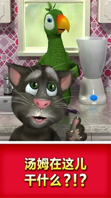 会说话的鹦鹉(3)