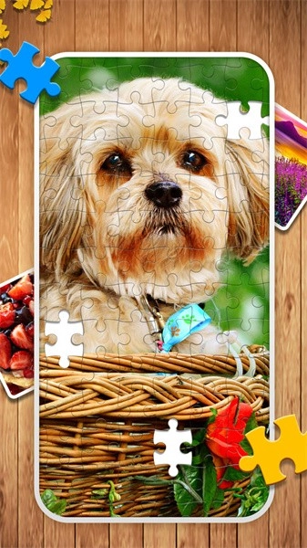 经典拼图游戏(3)