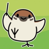 鸟鸣小镇
