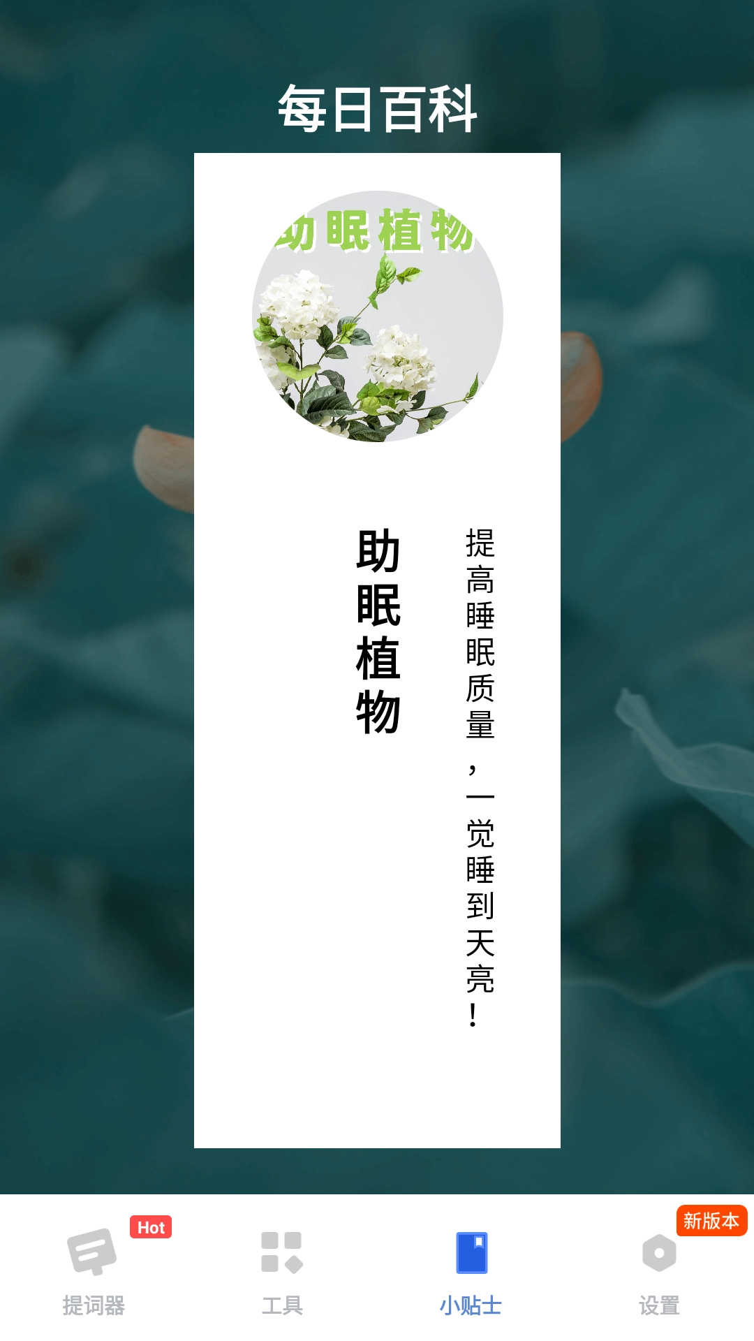 脱稿提词器