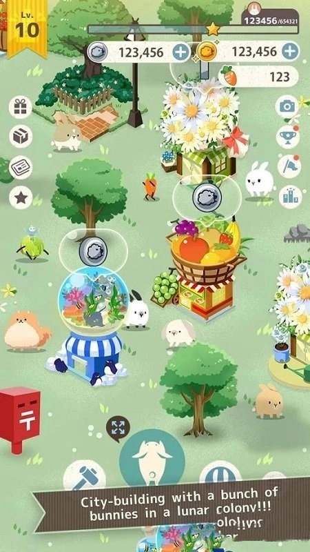 兔子真是太可爱了