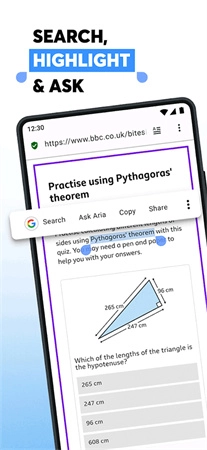 欧朋浏览器国际版图1