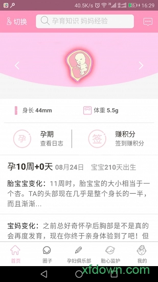 芒果孕味手机版