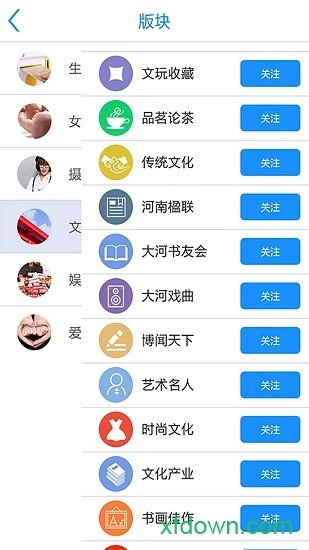 大河论坛手机版图3