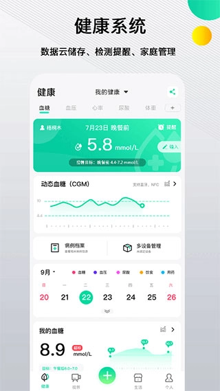 先锋鸟(1)