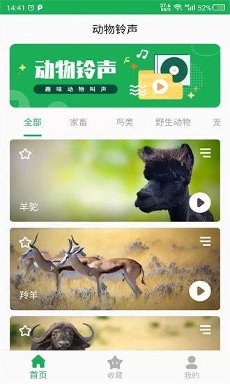 动物叫声之家安卓版图2