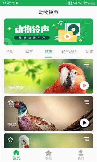 动物叫声之家安卓版图4