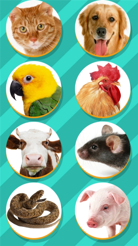 猫狗翻译器免费版