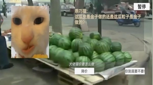 猫猫惊魂夜游戏安卓版