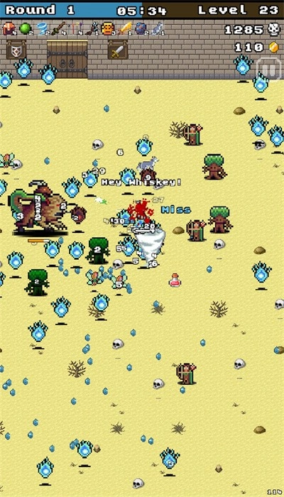 竞技场幸存者最新版