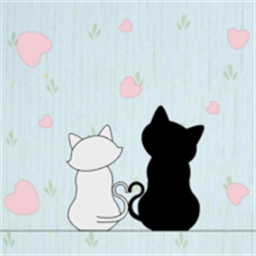 猫猫躲猫猫游戏安卓版