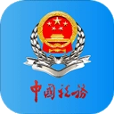 河北税务安卓版