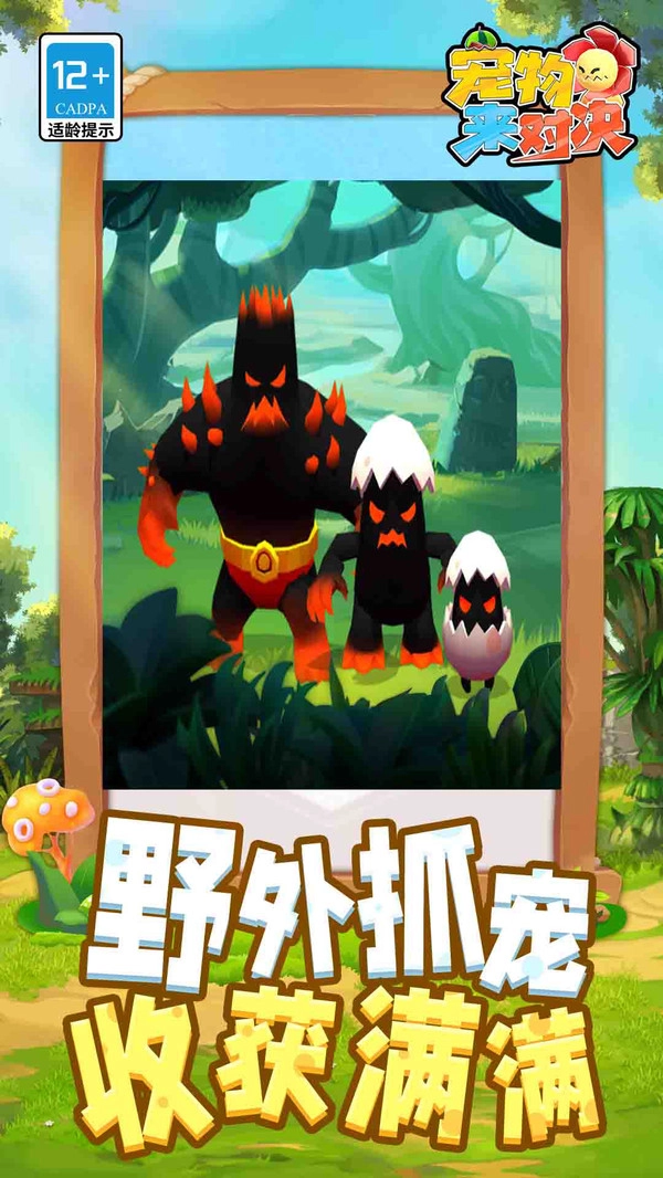宠物来对决(2)