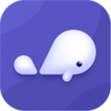 小京鱼手机免费版