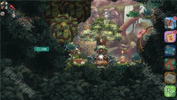 鸟类世界