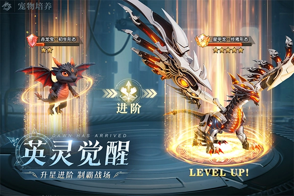 黎明之塔