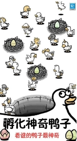 鸭了个鸭红包版