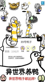 鸭了个鸭红包版