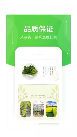快马送菜(1)