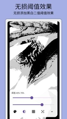灰阈相机无广告版图2