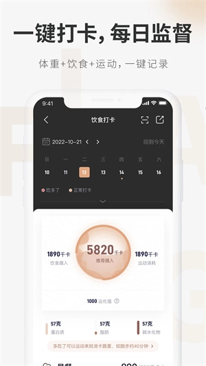 呼啦鸽-图1
