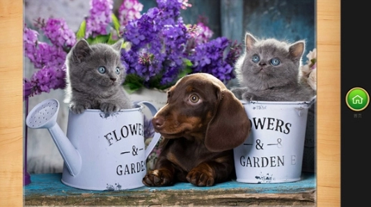 魔法拼图安卓官方版图2