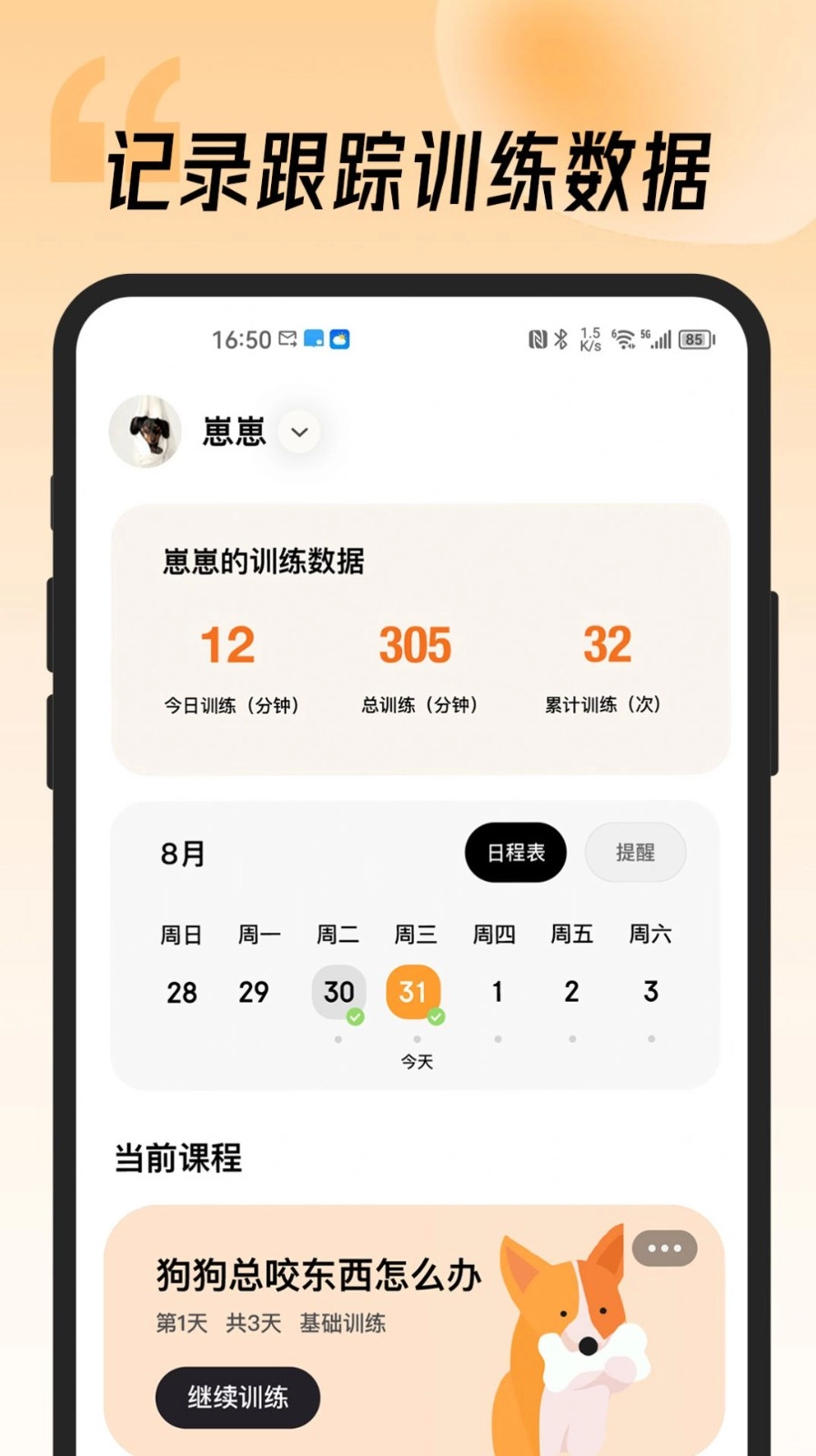 宠物记-图2