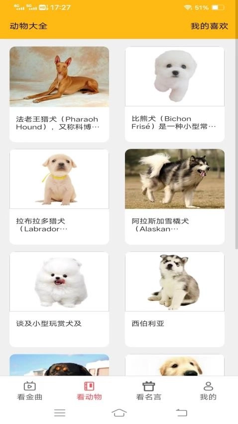 金牌聚看(2)