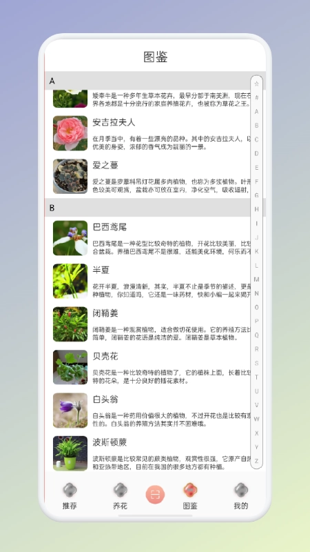 拍照识花识别植物-图2