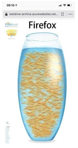 fishbowl(3)