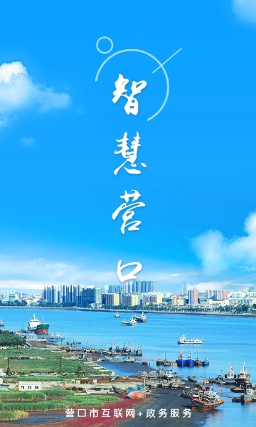 智慧营口(2)